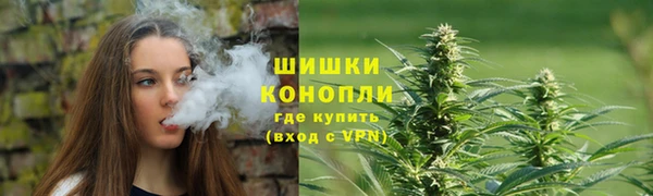 сатива Алексин