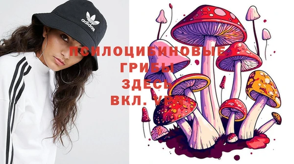 соль ск Алзамай