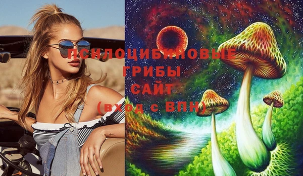 сатива Алексин