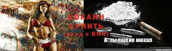 соль ск Алзамай